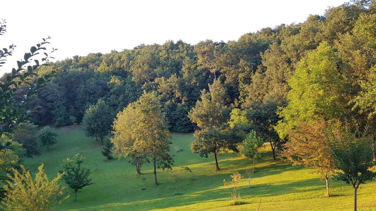 Domaine De La Queyrie Villa Sarlat-la-Caneda Exterior photo